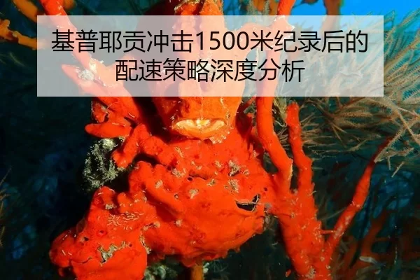 基普耶贡冲击1500米纪录后的配速策略深度分析