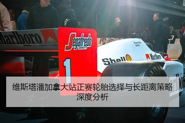 维斯塔潘加拿大站正赛轮胎选择与长距离策略深度分析